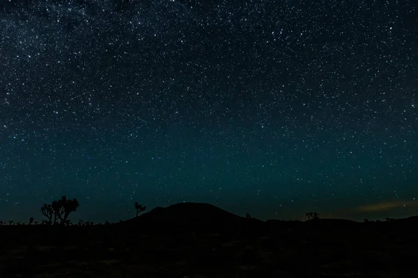 约书亚树沙漠上空明亮的星星 — 图库照片