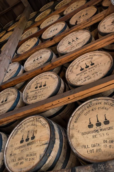 Viski Woodford yedek depo rafları bakarak