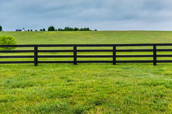 Sección de Valla de Caballo y Pastos —  Fotos de Stock