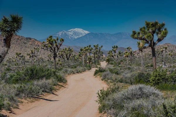 Kar dağlar tezgah Maltepe alan arkasında şapkalı