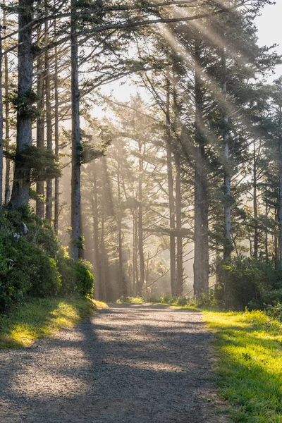 Breite Spur durch Sonnenstrahlen — Stockfoto