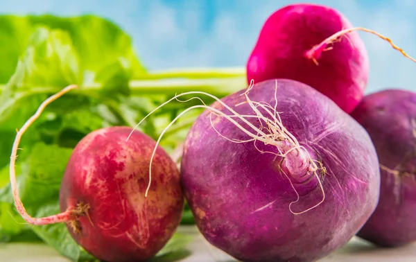 Close Up of Purple and Red Radish — стоковое фото