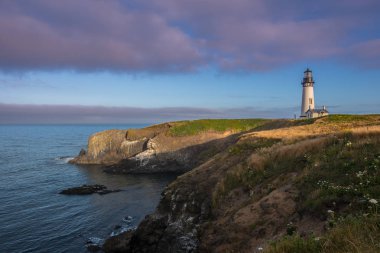 Morning Light Over Yaquina Head clipart