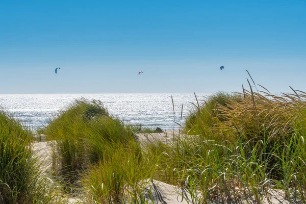 Three Kite Surfers Over Grassy Dunes — Stock Photo, Image