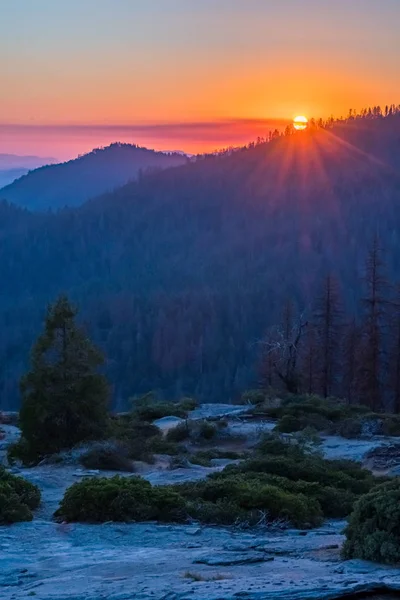 Canlı günbatımı üzerinde Sequoia dağlarda — Stok fotoğraf