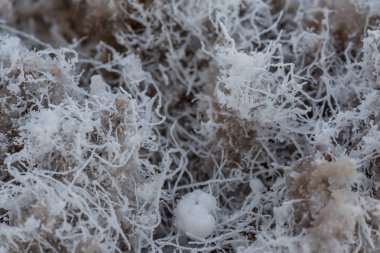 Ayrıntı tuz düz pul