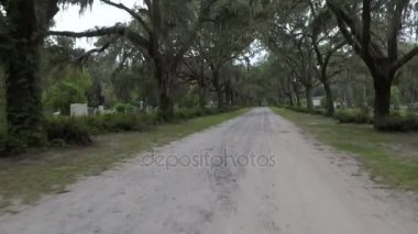 Live Oak Bonaventure mezarlığı Savannah'yol astarlı