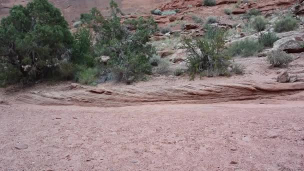 Desert Lower Half of Man Hikes Left Through Shot — Stock Video