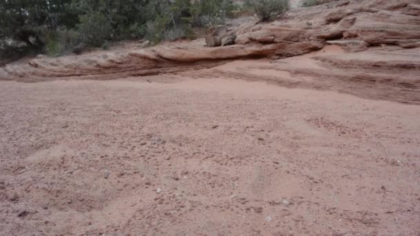 Desert Rand with Womans Feet Hiking Through — Stock Video