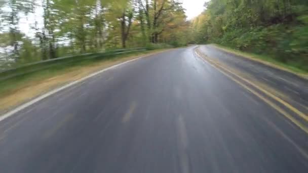 Folhas de queda na estrada de Blue Ridge Parkway — Vídeo de Stock