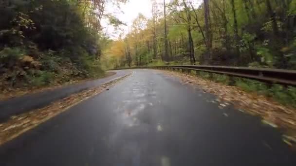 Hojas de otoño a lo largo del Blue Ridge Parkway — Vídeo de stock