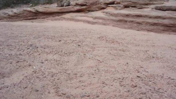 Un paso de carrera contra la arena del desierto — Vídeo de stock