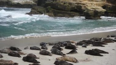 Yavaş dalga Crashes Seal Beach kapalı