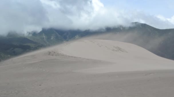 Saltação fora de Sand Dune — Vídeo de Stock