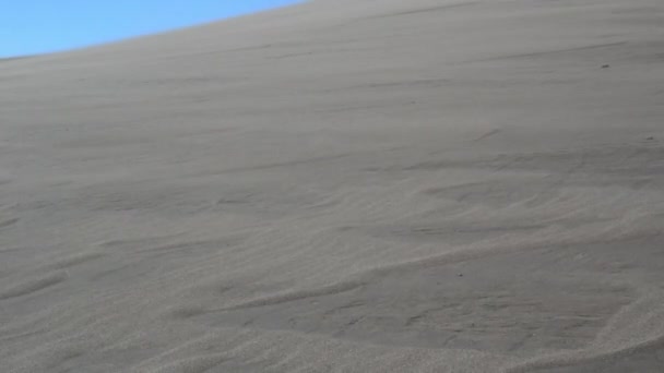 Пісок дме через Dune на вітрі — стокове відео