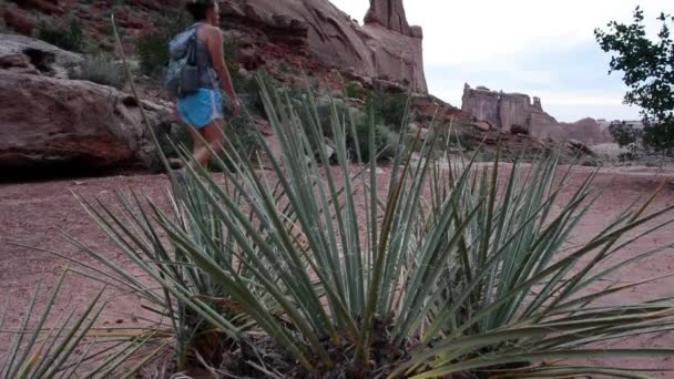 Een yucca plant waait in de wind, terwijl een vrouw van links naar rechts van frame wandelingen — Stockvideo