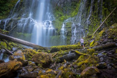 Proxy Falls altındaki kadın standları