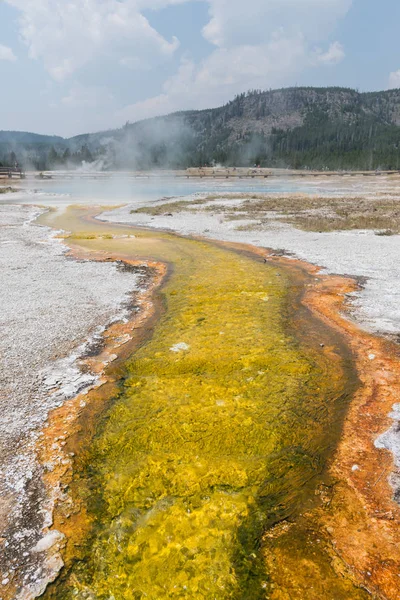 Yellow Sulfur Stream Flows from Steaming Hot Spring — Stock Photo, Image