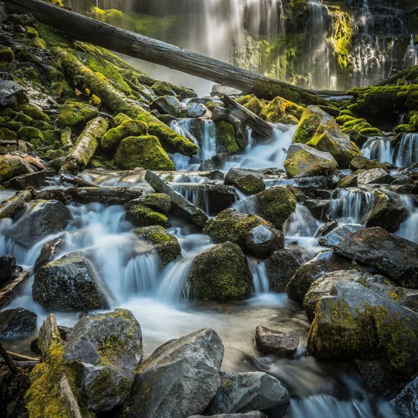 Dlouhá expozice z dolní části Proxy Falls — Stock fotografie