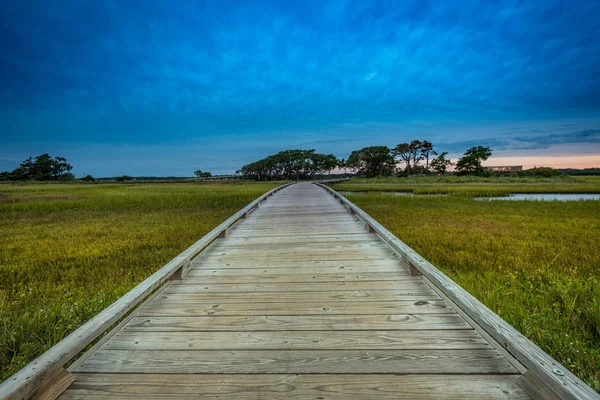 Bajo ángulo de paseo marítimo de madera a través de pantano — Foto de Stock