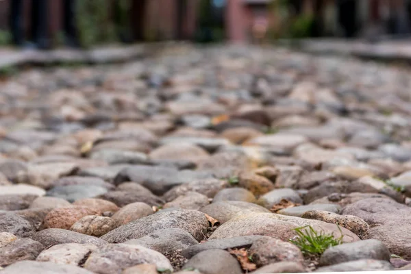 Úzké zaměření Cobble Stone Street — Stock fotografie