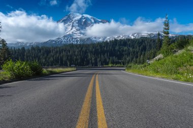 Mount Rainier doğru giden yol