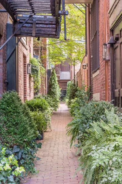 Brick Alley Way Jardin — Photo