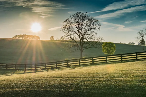 Sol brilla sobre el campo de rodadura de Kentucky — Foto de Stock