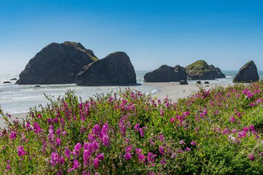 Yalnız kişi Oregon kıyılarında Meyers plajda yürüyor