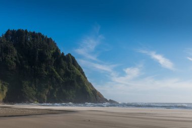 Pacific Coast sessiz bir yaz sabahı