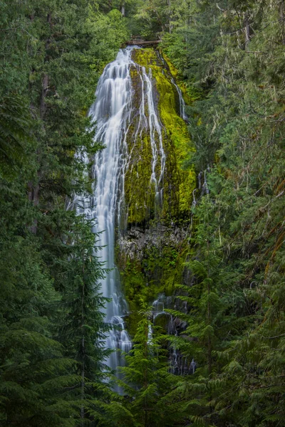 Le sommet des chutes par procuration à travers les arbres — Photo