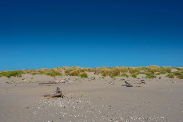 Ciel bleu et dunes de sable herbeuses — Photo