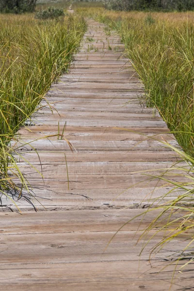 Close Up of Boardwalk Through Marshy Grassland — Stok Foto