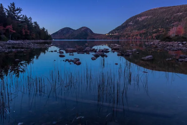 Schilf im jordanischen Teich bei Nacht — Stockfoto