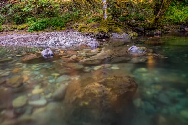 Felsen in Schwimmloch im Brice Creek — Stockfoto