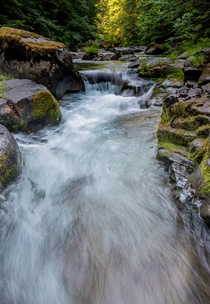 Wasser rauscht durch Brice Creek in Oregano — Stockfoto