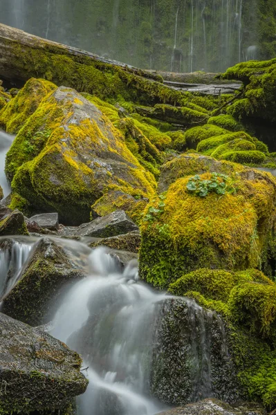 Voda řítí kolem Moss zahrnuty balvany — Stock fotografie