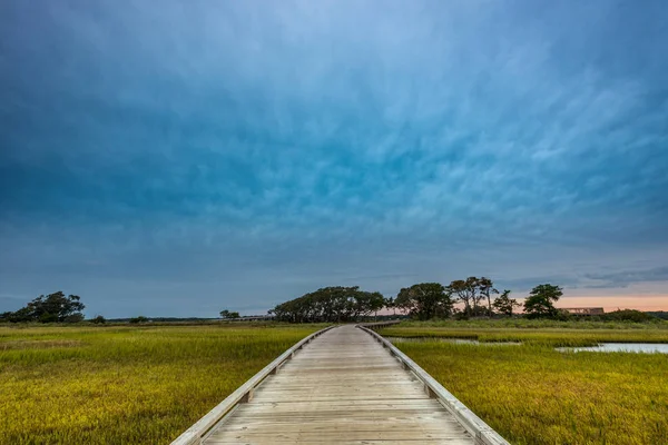 Drewniane Boardwalk przez Marsh — Zdjęcie stockowe