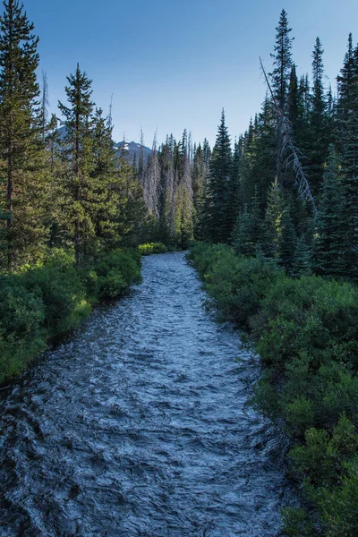 Creek Flows from Green Lakes in Central Orgeon — Stock Photo, Image