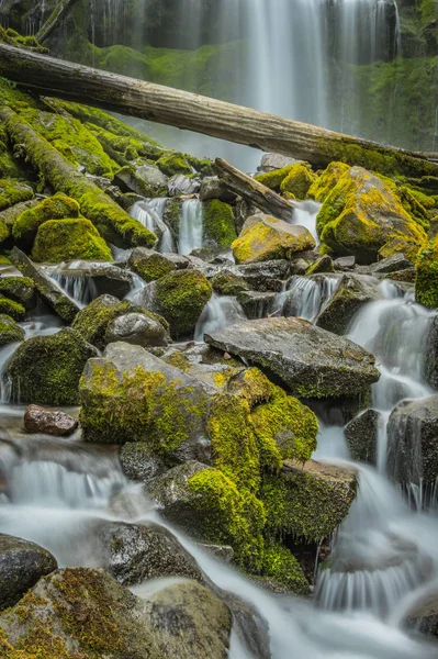 Dlouhé vystavení mechem obrostlými skalami na Proxy Falls — Stock fotografie