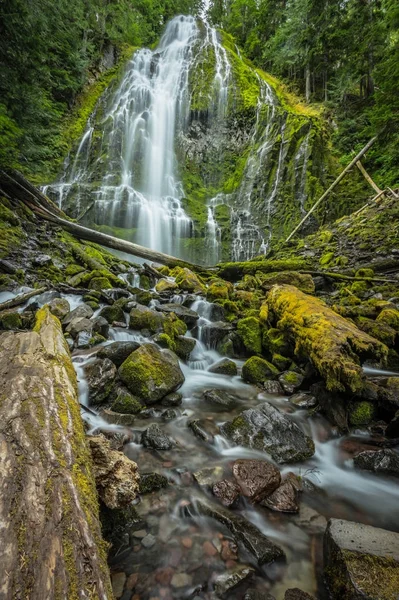 Angle large des chutes par procuration du bas — Photo