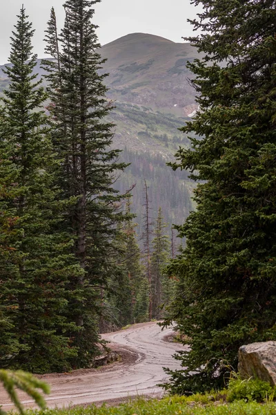 Muddy Road Through Rocky Mountains — Stock Photo, Image