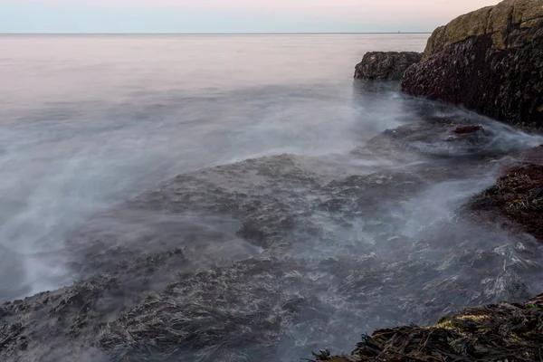 Onde che si infrangono su Kelp sulla costa del Maine — Foto Stock