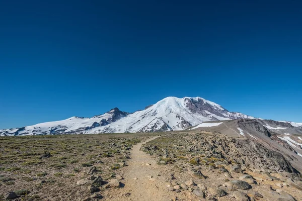 Burroughs Mountain Trail med Mount Rainier i baggrunden - Stock-foto