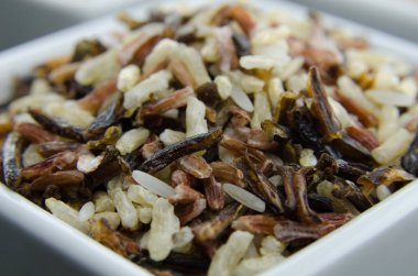 Yabani pirinç yakın çekim