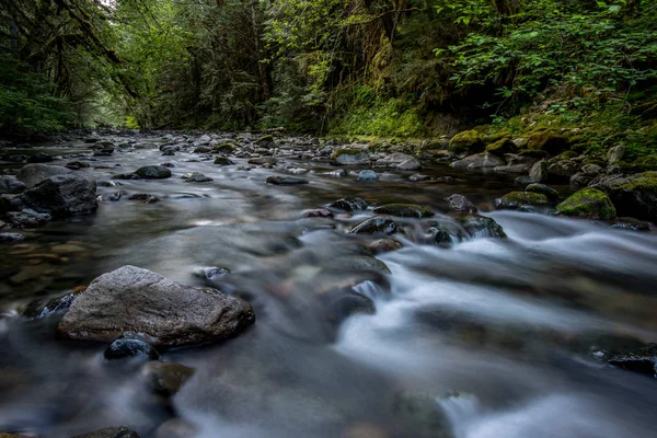 Vodní toky v Brice Creek — Stock fotografie