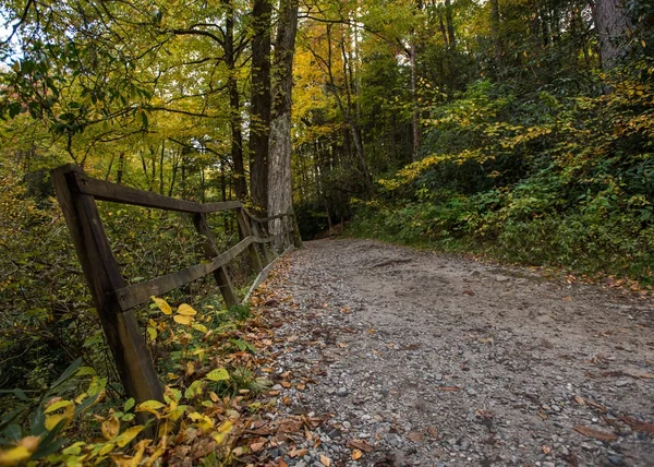 秋天的宽阔的小径和栏杆 — 图库照片