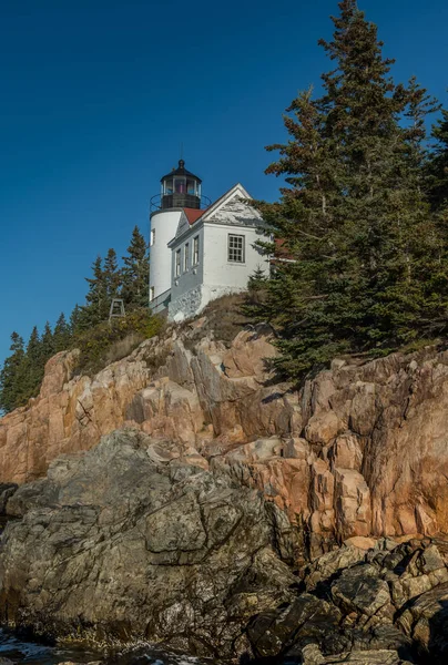Bass Harbor Lighthouse and Pine Trees