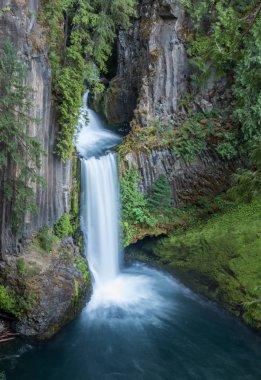 Long Exposure of Toketee Falls clipart