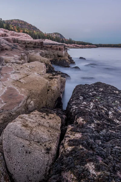 Mirando hacia la costa rocosa de Acadia —  Fotos de Stock